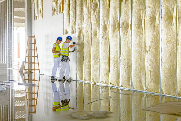 Professional Insulation Contractor in Vinita, OK